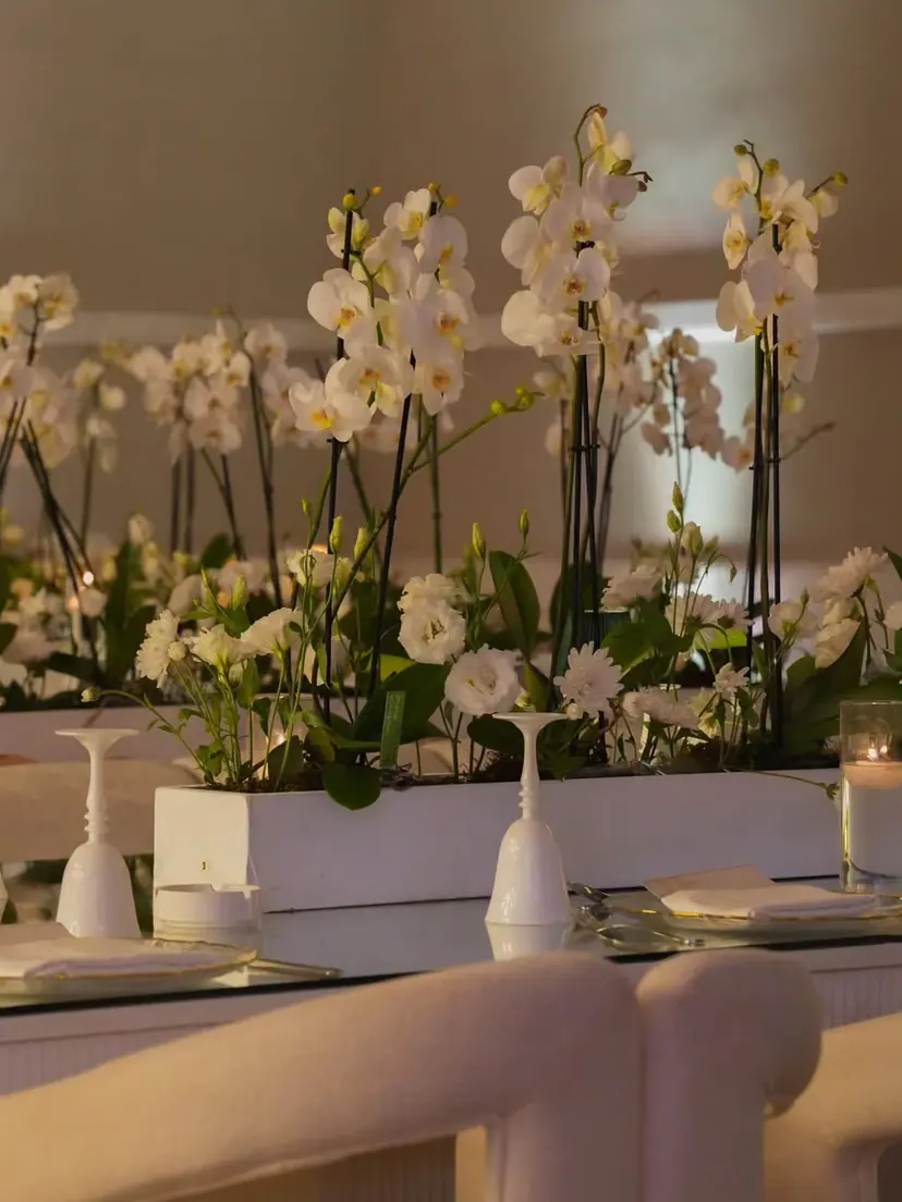 White orchids rising from a table planter beside white glasses and folded napkins